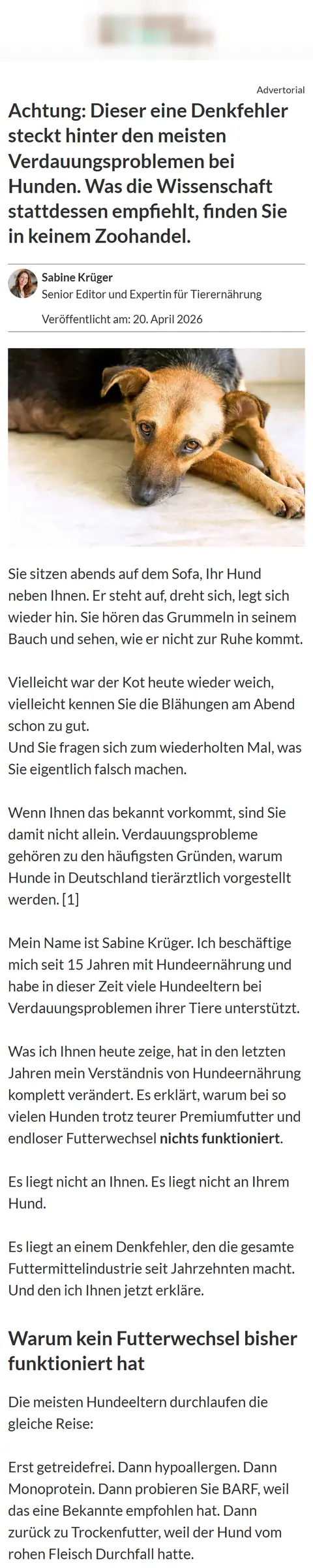 Advertorial für eine Tierfutter-Brand: Der Denkfehler hinter Verdauungsproblemen bei Hunden